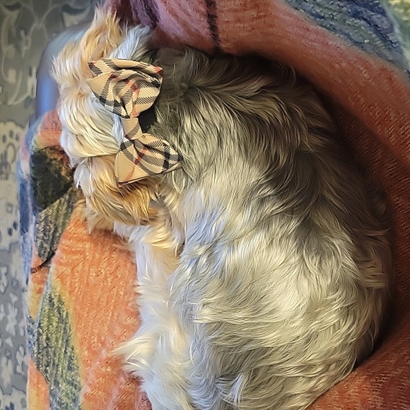 30% OFF 3+ ITEM BUNDLES - Picture 3 of 5